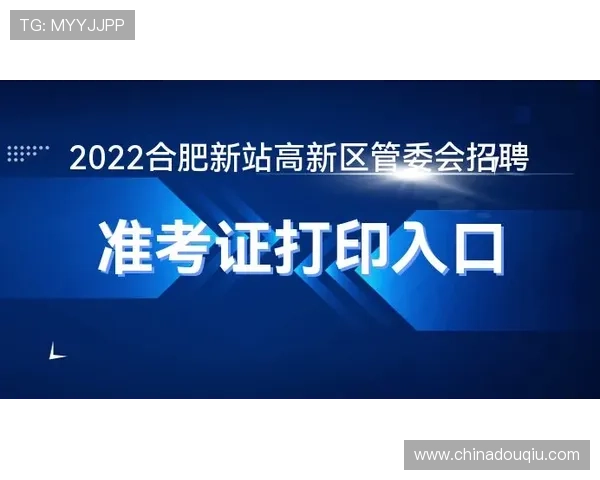 使用dqiuvip斗球直播官方入口的注意事项与安全保障