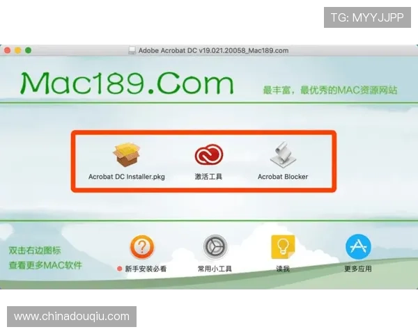 斗球极速版电脑版官网下载最新官方渠道，安全稳定快速下载安装指南