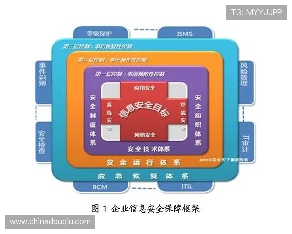 斗球直播网页版入口安全登录指南，保障你的账号信息安全与隐私保护