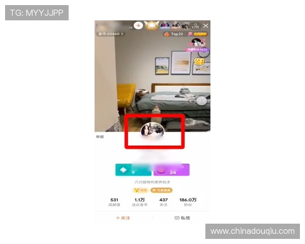 最新斗球直播电脑版下载安装指南，详细介绍各版本下载途径与使用方法