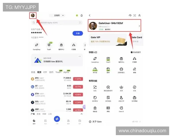 斗球体育在线下载后如何快速登录和设置，帮助新手用户顺利使用平台